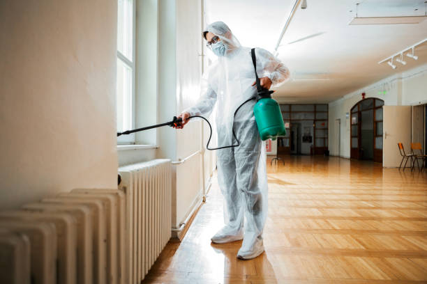 Best Residential Pest Control  in Big Rapids, MI